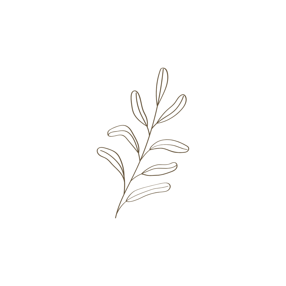 Illustratie van een helder blad dat symbool staat voor duidelijkheid en bewustwording.