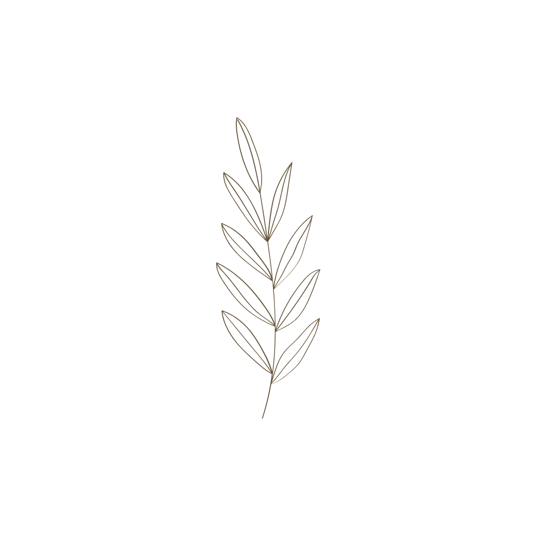 Illustratie van een takje met smalle bladeren dat groei en haalbare stappen symboliseert.